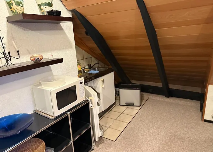 Beautiful Roof Town Uni Fair * 힐데스하임