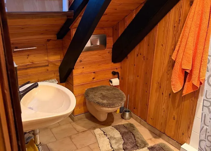 Beautiful Roof Town Uni Fair * Hildesheim